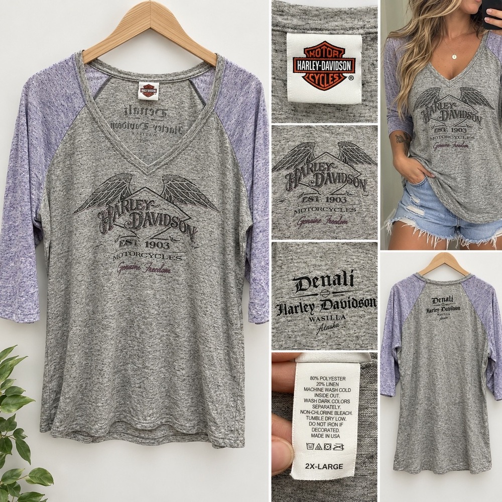 Harley-Davidson Denali Wasilla Alaska Grey Purple Raglan V-Neck Tee 2XL